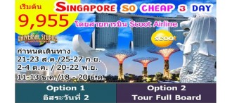 ชมเมืองสิงคโปร์ เลือกเที่ยวตาม Option  3 วัน 2คืน โดยสายการบิน Scoot Airline (TZ)