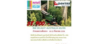 BW.DELIGHT  AUSTRALIA 6 DAYS 4 NIGHTS   เมลเบิร์น - ซิดนีย์  6 วัน 4 คืน