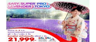 Easy Super Pro Lavender Tokyo ญี่ปุ่น โตเกียว ภูเขาไฟฟูจิ 5 วัน 3 คืน