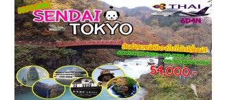 SPECIAL MOMIJI  SENDAI-NIKKO-TOKYO 0