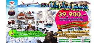 Hokkaido Snow Festival 2016 - 6 days 4 nights