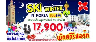 เกาหลี - สกีรีสอร์ท - เกาะนามิ 5 วัน 3 คืน 