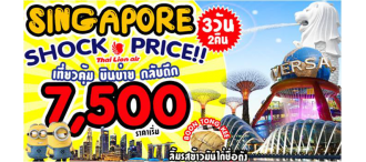 SINGAPORE 3 DAY SHOCK PRICE