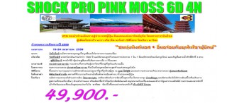 Shock Pro Pink Moss 6 D 4N 0