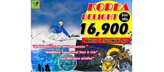 Korea Delight 5 วัน 3 คืน