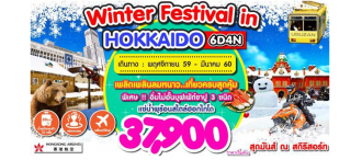 Winter Festival In Hokkaido
