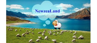 BW Amazing New Zealand Tour 7 Days