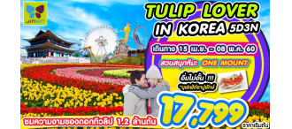 TULIP LOVER IN KOREA 5D3N เดินทาง 15 เม.ย - 8 พ.ค 2560 ท่านละ 17,799 บาท 0