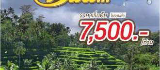 บาหลี-ทานาล็อต-คินตามณี-เบซากีห์4 วัน 3 คืน 0