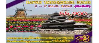 LOVE TAKAYAMA NO.2 ทาคาย่ามา-หมู่บ้านชิราคาวาโกะ-อาราชิยาม่า-โอซาก้า-ชมไฟฤดูหนาว-ชมซากุระ 0