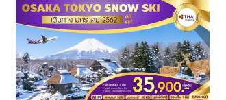 ทัวร์ญี่ปุ่น OSAKA TOKYO SNOW SKI 6D4N (TG)