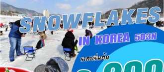 SNOW FLAKES IN KOREA 5D3N 