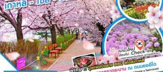 KOREA CHERRY SWEET 5D4N (บินบ่าย) 0