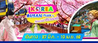 BUSAN PLUS + SPECIAL BLOSSOM