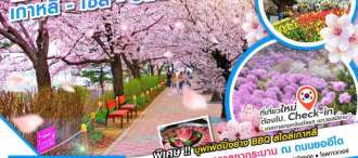 KOREA CHERRY SWEET  0