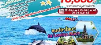 Lovina Beach มหัศจรรย์ บาหลี ชมปลาโลมายามเช้า 4 วัน 3 คืน  โดยสายการบินแอร์เอเชีย (FD) 0