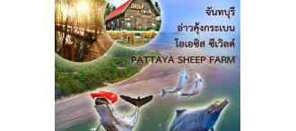 โปรแกรมท่องเที่ยว ปาร์ตี้ 3วัน2คืน ณ จันทบุรี 0