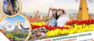 KOREA TULIP LOVER 5D3N