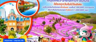 MIX FLOWER IN HOKKAIDO  0