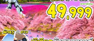 PRO TOKYO BLOSSOM SAKURA 6วัน4คืน 0