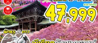 PRO TOKYO SAKURA PINK PINK 5 วัน 3 คืน  0