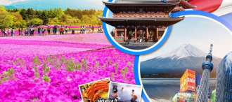  ZNRT18 ญี่ปุ่น นาริตะ โตเกียว ฟูจิ เลสโก บลูมมิ่ง พิงค์มอส 5D3N 0