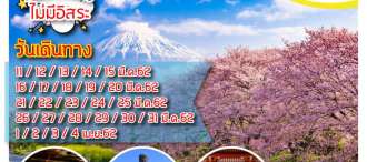 ทัวร์ญี่ปุ่น โตเกียว HJT-XW53-S02 HAPPY TOKYO ซากุระ 0