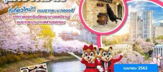 AZICN19 : KOREA SPRING BREEZE 6D3N (บินดึก-กลับดึก) 0