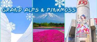 24.GOAL JAPAN GRAND ALPS & PINKMOSS 6D 3N