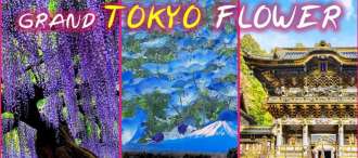 23.GOAL JAPAN GRAND TOKYO FLOWER 6D 4N