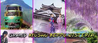 27. GOAL JAPAN GRAND KYUSHU BEPPU WISTERIA 6D 4N 0