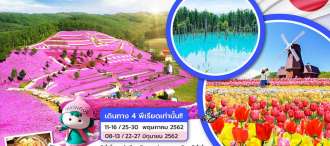 ZHOK09: ญี่ปุ่น ฮอกไกโด  เลสโก สุมาลี รังสรรค์ 6D4N 0