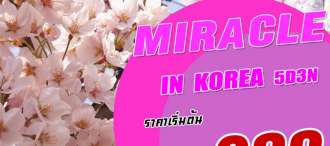 MIRACLE IN KOREA 5D3N LJ