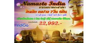 Namaste India 7D 6N