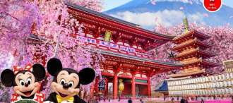 PRO TOKYO FUJI PINKMOSS DISNEY