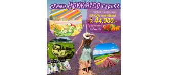 GOAL JAPAN GRAND HOKKAIDO FLOWER 5 วัน 3 คืน