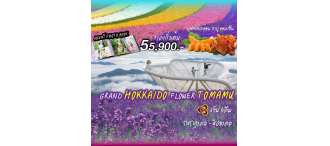 GOAL JAPAN GRAND HOKKAIDO FLOWER TOMAMU  6 วัน 4 คืน 0