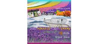 GOAL JAPAN GRAND HOKKAIDO FLOWER TOMAMU  6 วัน 4 คืน