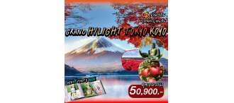 GOAL JAPAN GRAND HILIGHT TOKYO KOYO 6 วัน 3 คืน