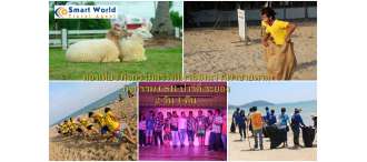 โปรแกรมท่องเที่ยว สัมมนา กิจกรรมสร้างทีม กีฬาชายหาด ปาร์ตี้ กิจกรรม CSR จังหวัดระยอง 2 วัน 1 คืน 0