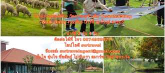 โปรแกรมท่องเที่ยว สระบุรี กิจกรรมการสร้างทีม กิจกรรมไร่กุสุมา  ปาร์ตี้ 2 วัน 1 คืน ณ จังหวัดสระบุรี 0