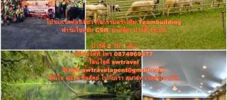โปรแกรมท่องเที่ยว กิจกรรม สระบุรี กิจกรรมสันทนาการ กิจกรรม  เที่ยวชมฟาร์มโชคชัย กิจกรรม CSR ปาร์ตี้ สังสรรค์ ณ จังหวัดสระบุรี 2 วัน 1 คืน 0