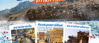 เกาหลี (KOREA) SEOUL SO COOL 5 วัน 3 คืน โดยสายการบินไทย (TG) 0
