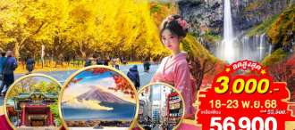 TOKYO FUJI NIKKO ROMANTIC AUTUMN 6D 4N โดยสายการบินไทย [TG]  0