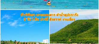 โปรแกรมท่องเที่ยว พัทยา พักผ่อนแบบสบายๆ กับชายทะเลที่สวยงาม  ดำน้ำดูปะการัง เกาะแสมสาร เกาะจาน สังสรรค์ ปาร์ตี้ 2 วัน 1 คืน 0
